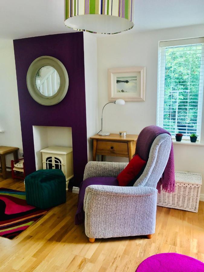 Red Deer Cosy Apartment In Letterfrack Connemara Eksteriør billede
