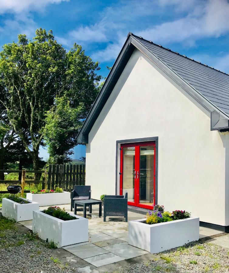 Red Deer Cosy Apartment In Letterfrack Connemara Eksteriør billede